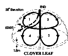 clover